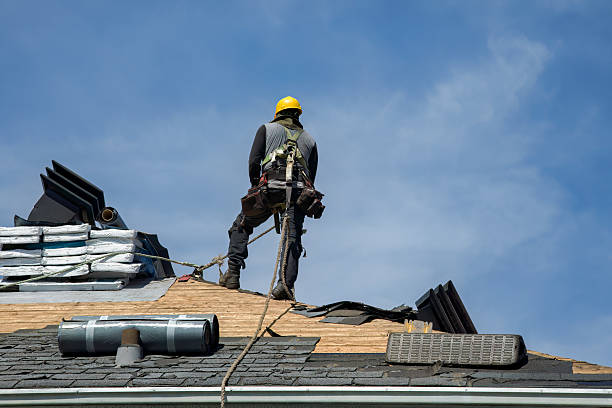Professional Storm Damage Roof Repair technician working in Walcott, ND